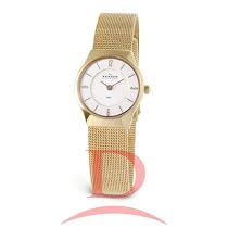 ["Skagen Women