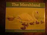 Marshland wildlife