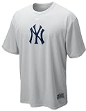 Nike New York Yankees Grey Perfect Game Dri FIT Mascot T Shirt Nike New York Yankees Grey Perfect Game Dri FIT Mascot T Shirt