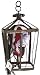 Gory Head in Cage Gothic Dungeon Halloween Hanging Prop