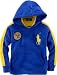 Polo Ralph Lauren Toddler Boys Big Pony Pullover Hoodie