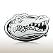 University of Florida Chrome Car Emblem