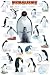Penguins Poster (#174)
