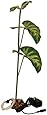 Exo Terra Dripper Plant, Large