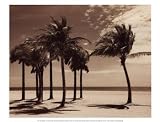 Dennis Kelly Key Biscayne I 15.75 x 11.75 Poster Print
