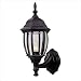 41tALKPTX9L. SL75  Builder Cast 1 Light Outdoor Wall Mount