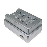 Lenmar SOLOXP-X1 Universal Li-Ion Travel Charger with USB Power Port