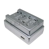 Lenmar SOLOXP-X1 Universal Li-Ion Travel Charger with USB Power Port
