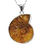 Sterling Silver Ammonite Fossil Pendant Necklaces (18-inch Chain)