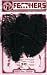 Ostrich Feathers-2PK/Black
