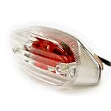 CUSTOM TAIL LIGHT BRAKE LIGHT ATV SCOOTER QUAD MOTORCYCLE BULB LENS 50CC 70CC 90CC... by KapscoMoto