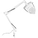 Trademark Tools 75-MG9200 Swing Arm Incandescent Magnifying Lamp with Clamp