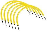 Champion Sports Passing Arc Set