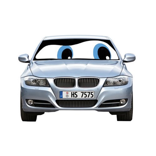 Blue Eyes Double-Sided Car Sunshade