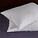 Puredown White Goose Feather and Down Pillow, Queen, Set of 2