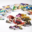 3D Tropical Fish Puzzle