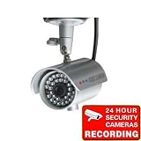Video Audio Day Night IR Security Color Video Infrared Bullet Camera Free Power Supply free surveillance warning sticker IR804MK 1O7