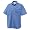 Bright Bluet