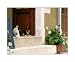 Cat Eating with Bird Watching in Corfu, Greece Places Photographic Poster Print by Matt D. Rudin, 10x8