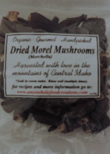 Dried Morel Mushrooms (1ounce)