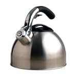 Primula Tea Kettle with Soft Grip Silicone Handle, Stainless Steel, 3-Quart
