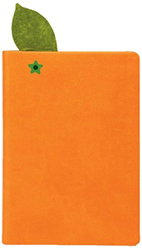 Juicy Notebook: Orange