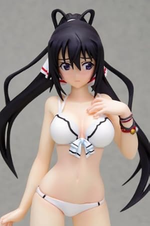 IS ＜インフィニット・ストラトス＞ 篠ノ之 箒 (1/10スケール PVC塗装済み完成品)