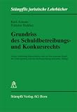 Produkt-Bild: Grundriss des Schuldbetreibungs- und Konkursrechts (Schweizer Recht): Unter Zugrundelegung der Schweizerischen Zivilprozessordnung
