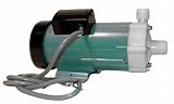 Iwaki MD-40RLT Pump