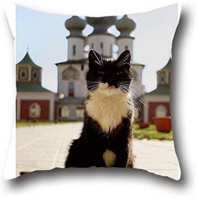 Goling Bbay Black Cat Funny 100% Cotton Embroidery Decorative Throw Pillow Case Cushion Covers Assorted Designs For Living Room Cover , Vintage ( 20*36 )