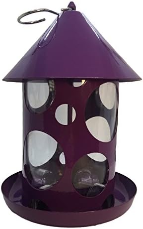 Pinebush Polka Dot Bird Feeder for Mixed Seeds or Suet Balls to Attract Chickadees, Nuthatches, Finches, Woodpeckers (Purple)
