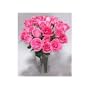 Two Dozen Long Stemmed Sapphire Pink Roses