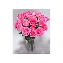 Two Dozen Long Stemmed Sapphire Pink Roses