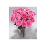 Two Dozen Long Stemmed Sapphire Pink Roses