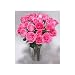 Two Dozen Long Stemmed Sapphire Pink Roses