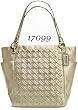 Authentic Coach Woven North South Large Tote Bag Light Gold 17099