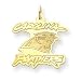14K Carolina Panthers Medium Logo Charm
