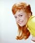 DEBORAH WALLEY 20X24 COLOR PHOTO