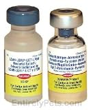 Duramune Max 5-CVK (1 dose)