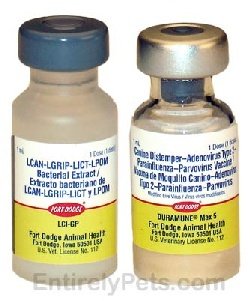 Duramune Max 5-CVK (1 dose)