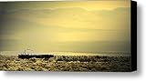 100plus Canvas Print / Canvas Art - Artist Mark Ross