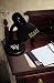 NCAA Wake Forest Demon Deacons Desk Lamp