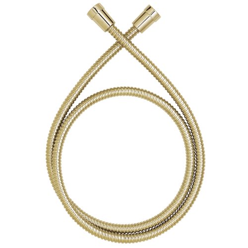 Speakman VS-152-PB 5 Ft. Polished Brass