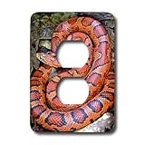 Snakes - CORN SNAKE - Light Switch Covers - 2 plug outlet cover