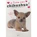 Je l'aime mon chihuahua ! : Tout ce que je dois savoir pour le rendre heureux