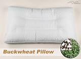 Buckwheat Healthy Pillow W/double Zipper Cotton Cover Size: 25