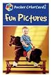 Fun Pictures Pocket Color Flashcards