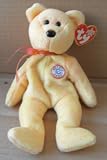 TY Beanie Babies Sunny the Teddy Bear Stuffed Animal Plush Toy - 8 inches tall - Multi-color - with Beaded Necklace