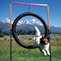 Agilite Tire Jump-Lightweight Anodized Aluminum