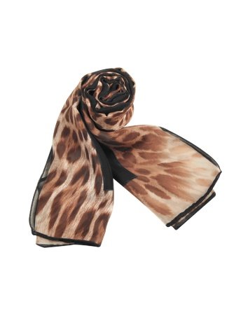 Roberto Cavalli Leopard Frame Black Signature Silk Stole